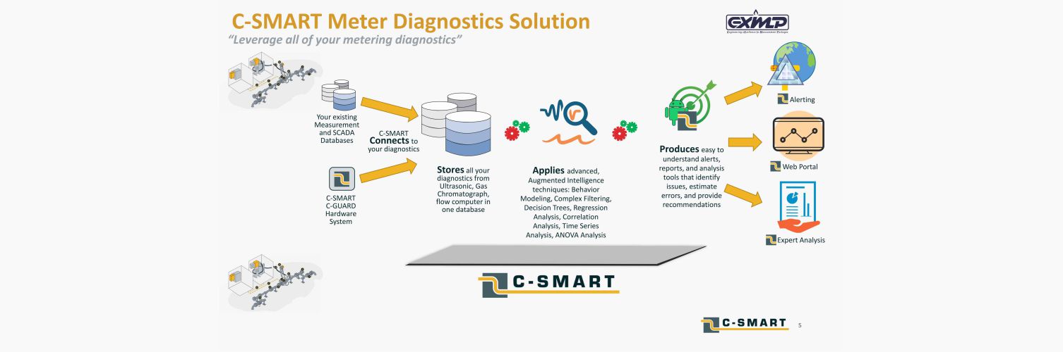 C-SMART Meter Diagnostics Solutions